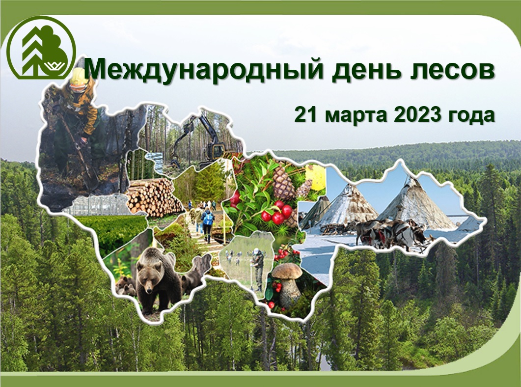 Леса 21 век. Международный день лесов. Международный день лесов 2022 презентация для детей.